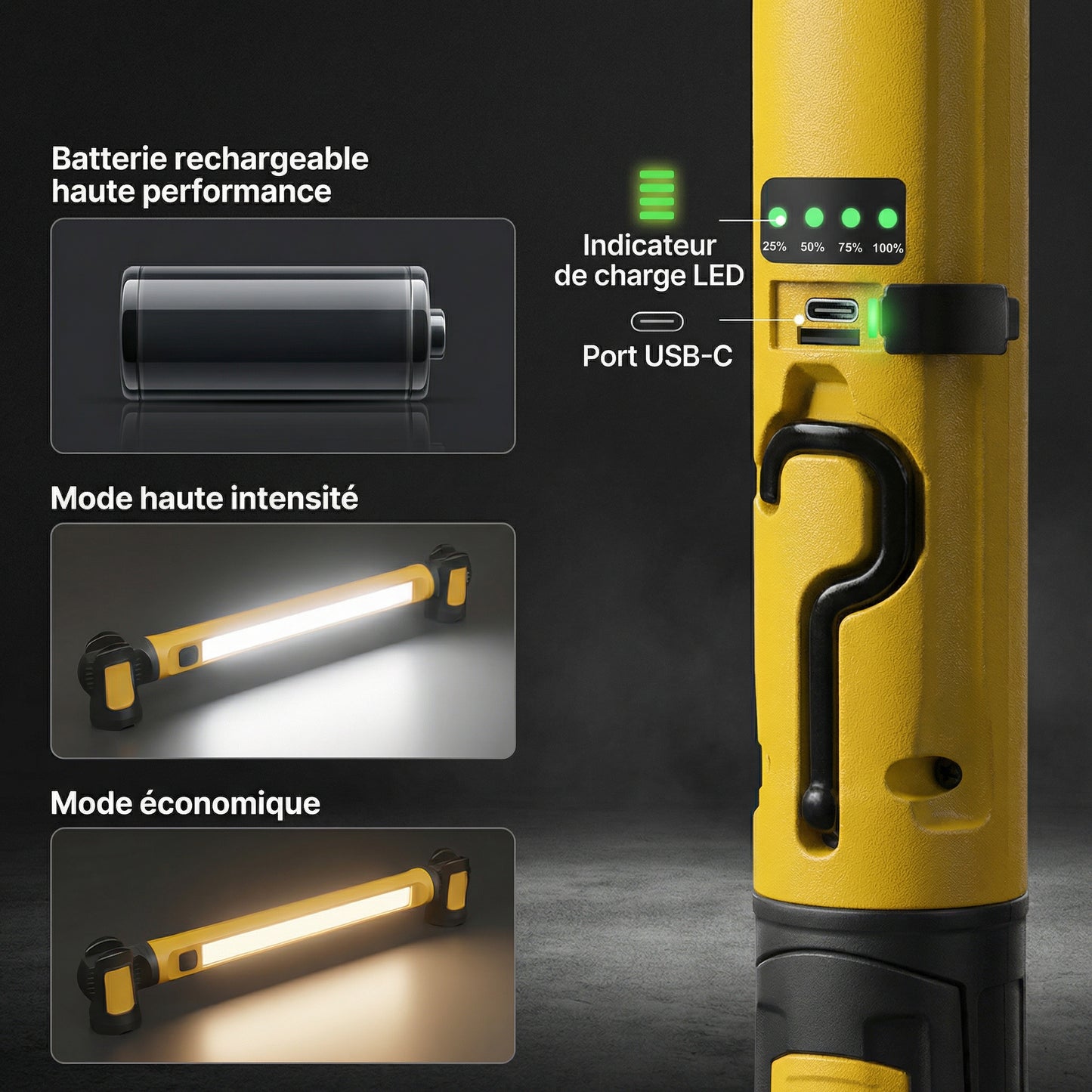 Nuiska Pro Light 360