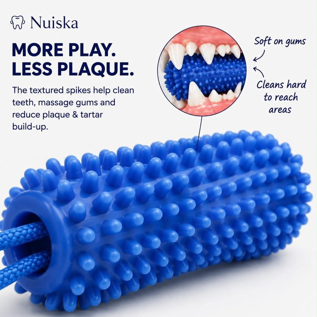 Nuiska™ DentalPlay