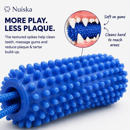 Nuiska™ DentalPlay