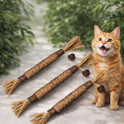 Lot de 3 bâtonnet dentaire naturel pour chat
