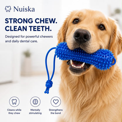 Nuiska™ DentalPlay
